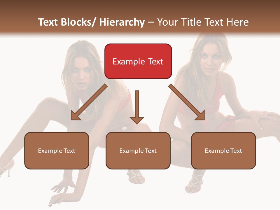 Profe Ional Toon Management PowerPoint Template