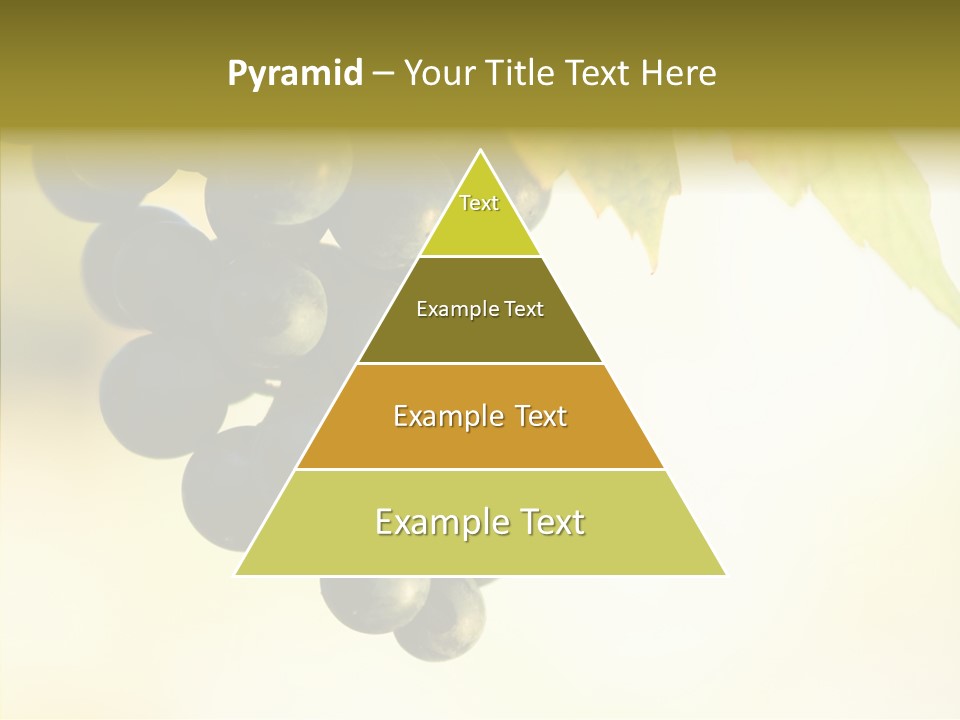 Bunch Drink Wine PowerPoint Template