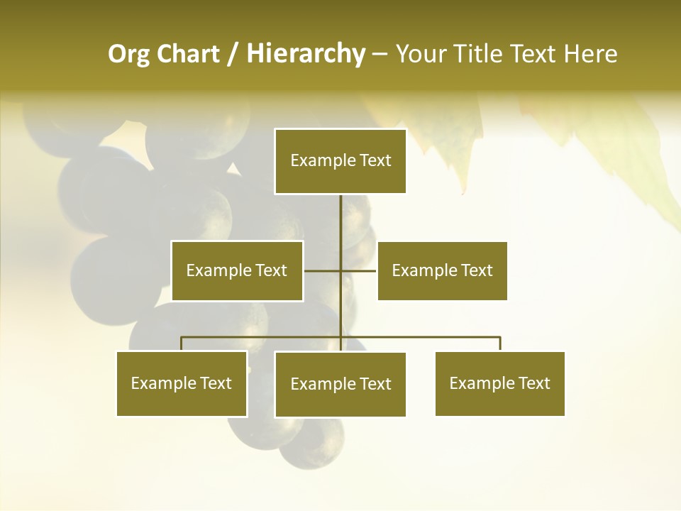 Bunch Drink Wine PowerPoint Template