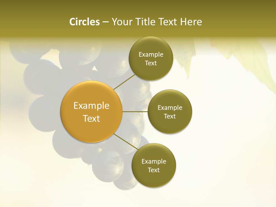 Bunch Drink Wine PowerPoint Template