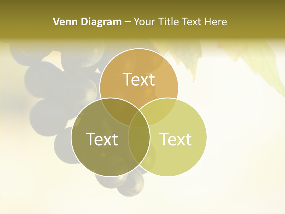 Bunch Drink Wine PowerPoint Template