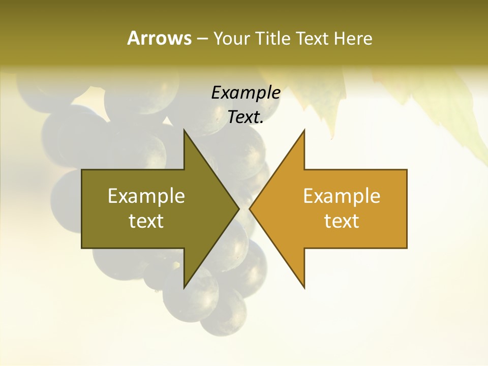 Bunch Drink Wine PowerPoint Template