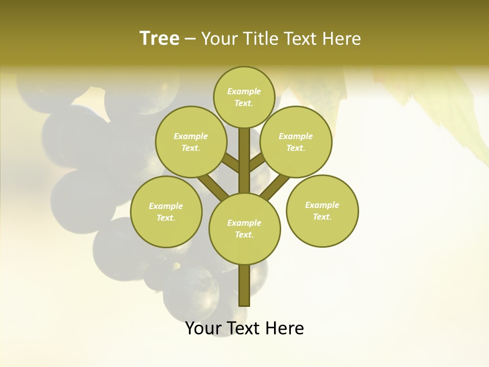 Bunch Drink Wine PowerPoint Template