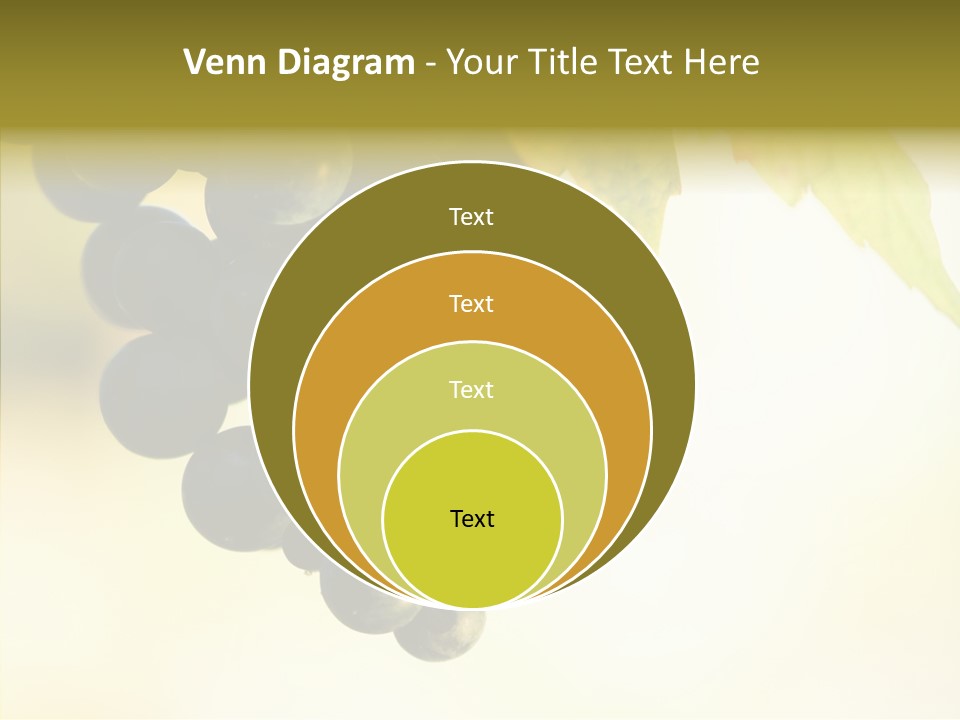 Bunch Drink Wine PowerPoint Template