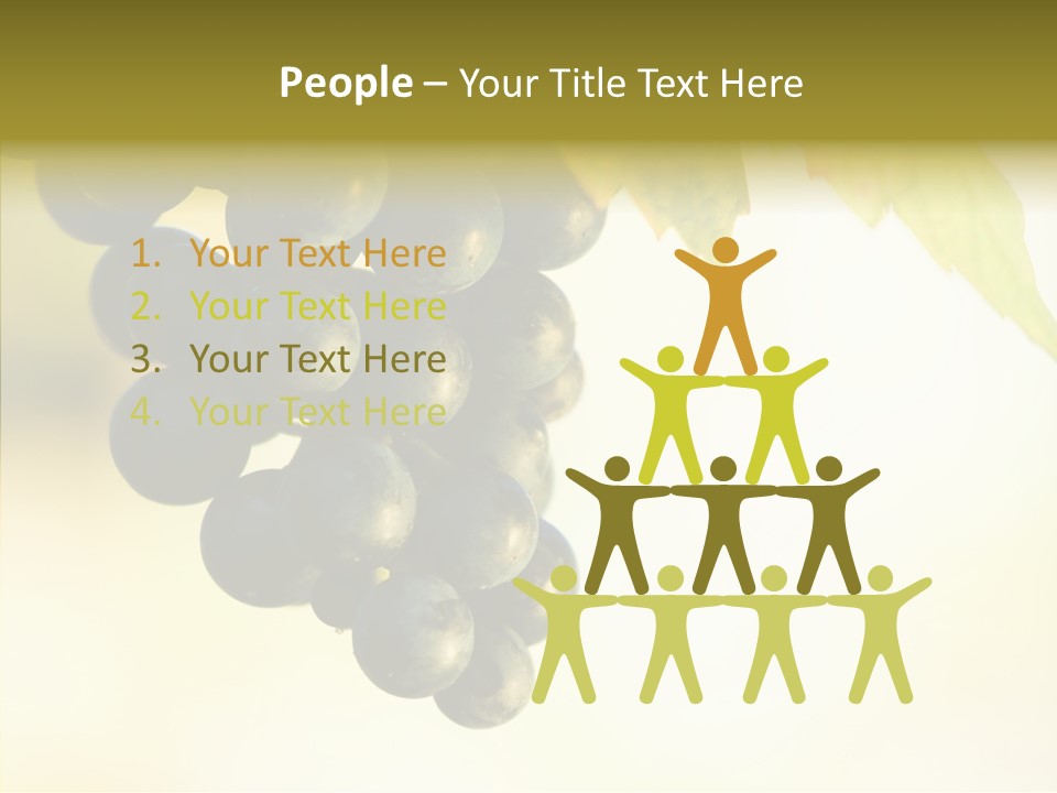 Bunch Drink Wine PowerPoint Template