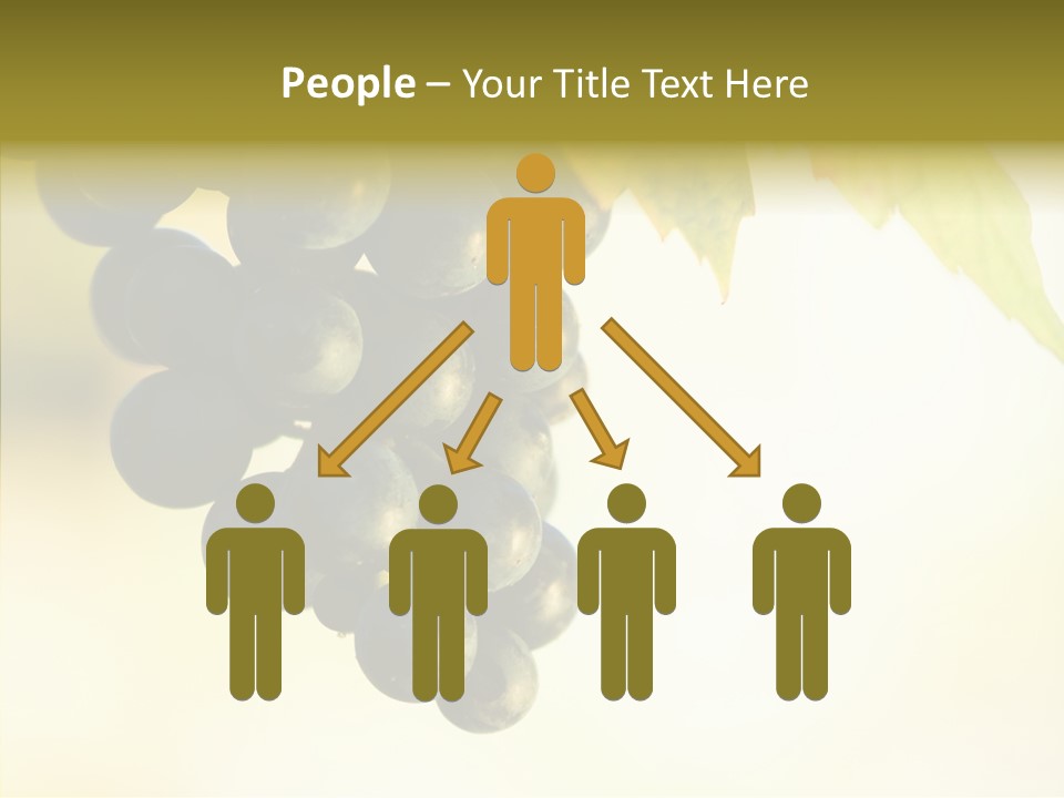 Bunch Drink Wine PowerPoint Template