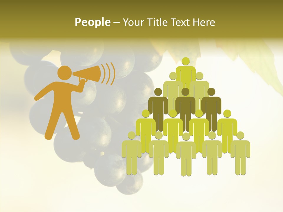 Bunch Drink Wine PowerPoint Template