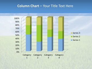 Leaf Solitude Paradise PowerPoint Template