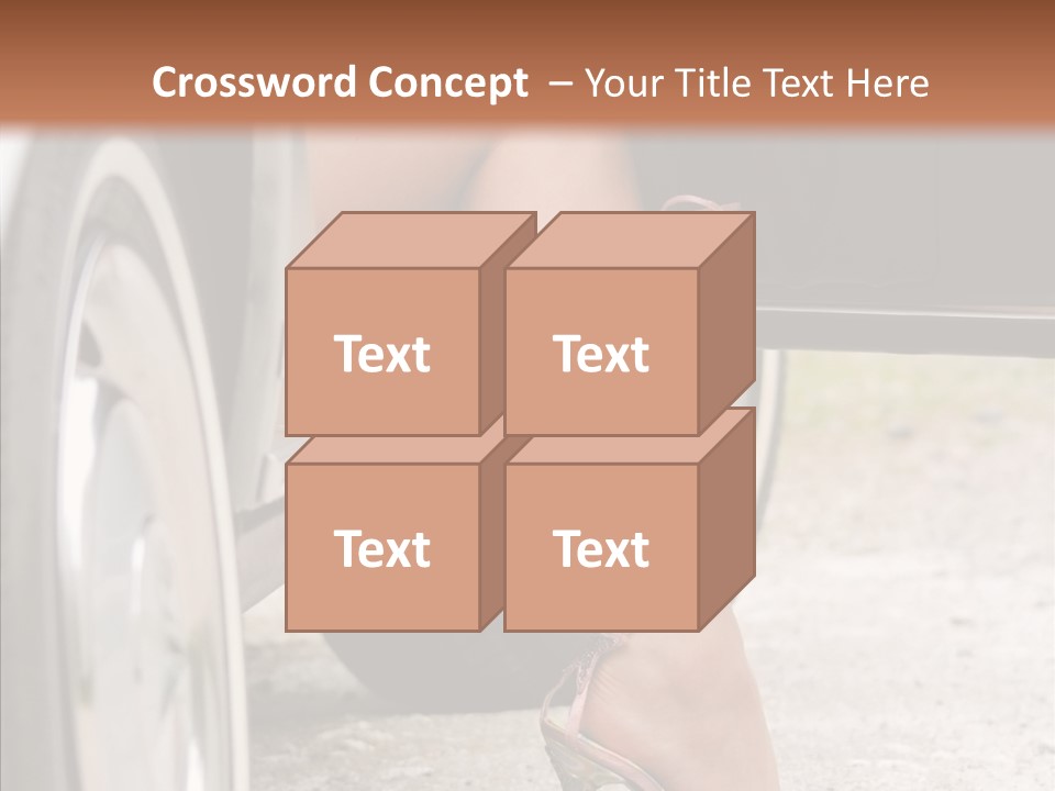 Driver Shoes Female PowerPoint Template