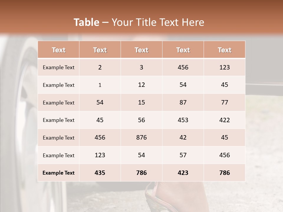 Driver Shoes Female PowerPoint Template