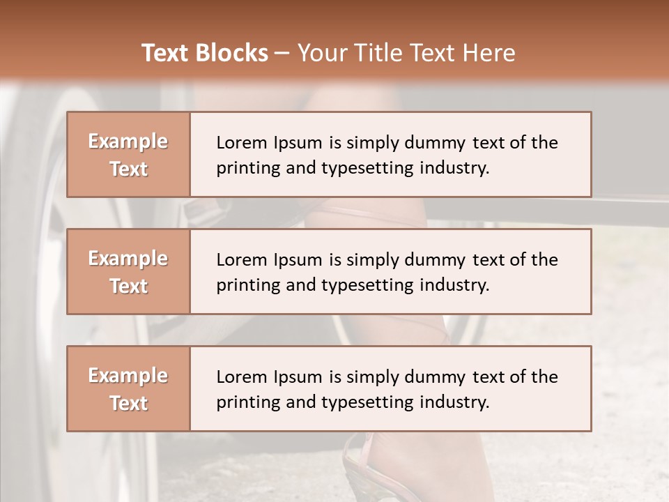 Driver Shoes Female PowerPoint Template