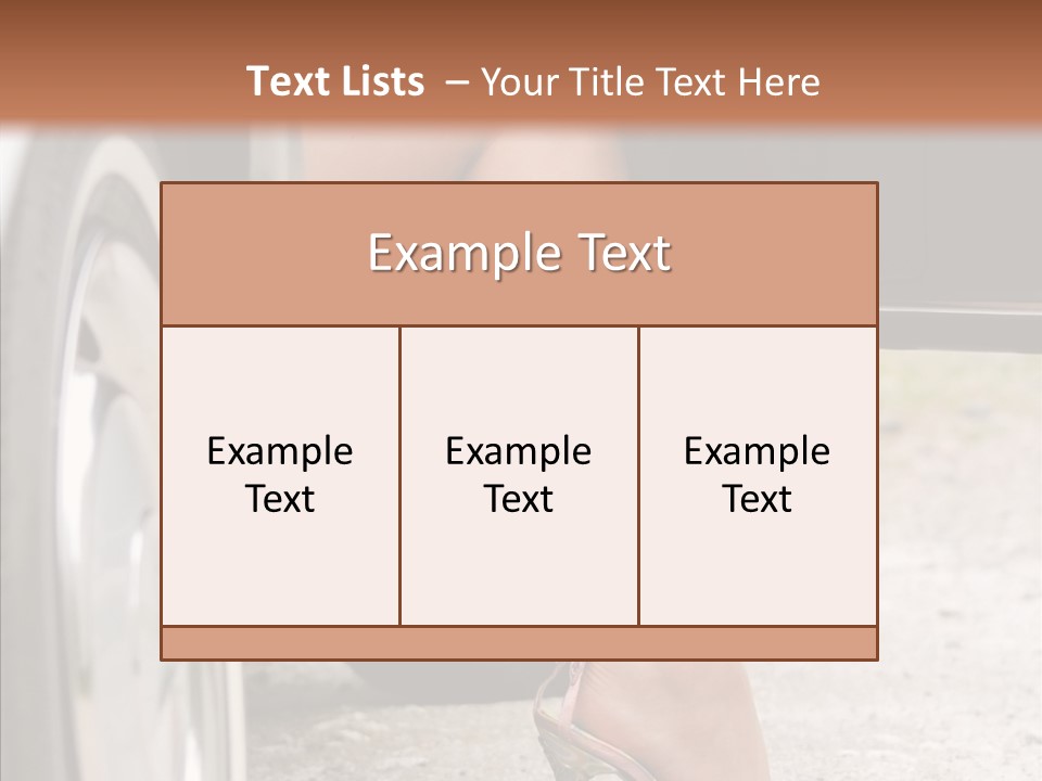 Driver Shoes Female PowerPoint Template