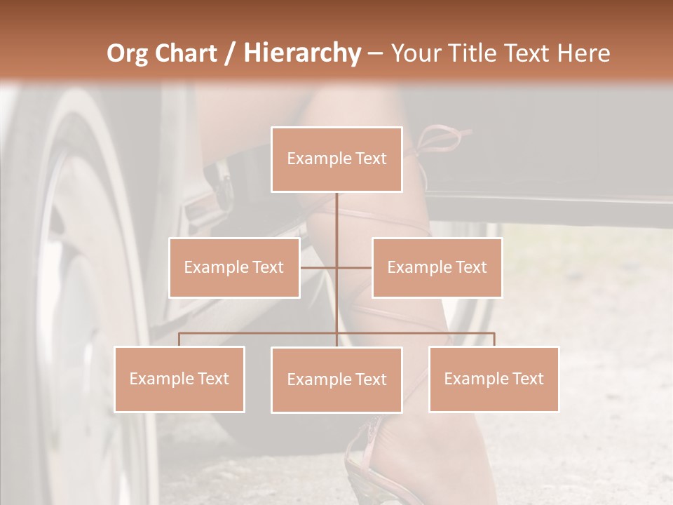 Driver Shoes Female PowerPoint Template