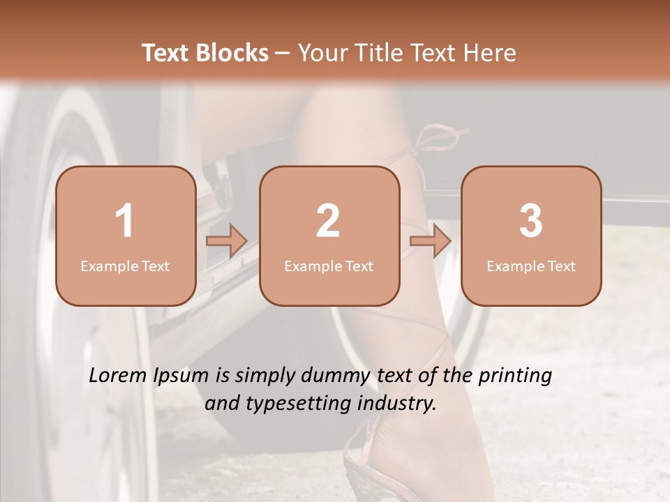 Driver Shoes Female PowerPoint Template