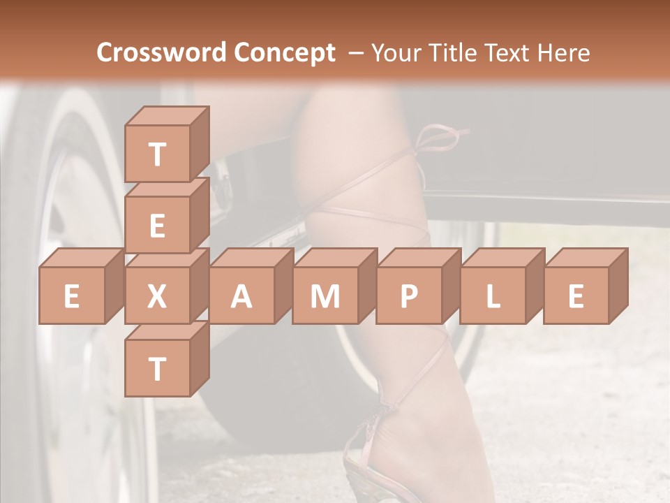 Driver Shoes Female PowerPoint Template