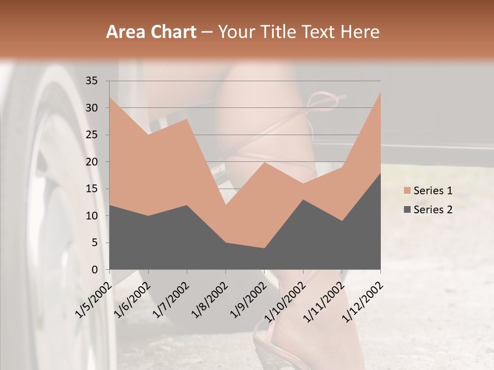 Driver Shoes Female PowerPoint Template