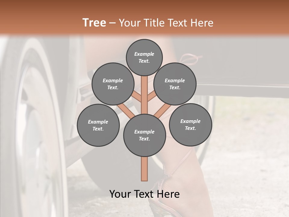 Driver Shoes Female PowerPoint Template