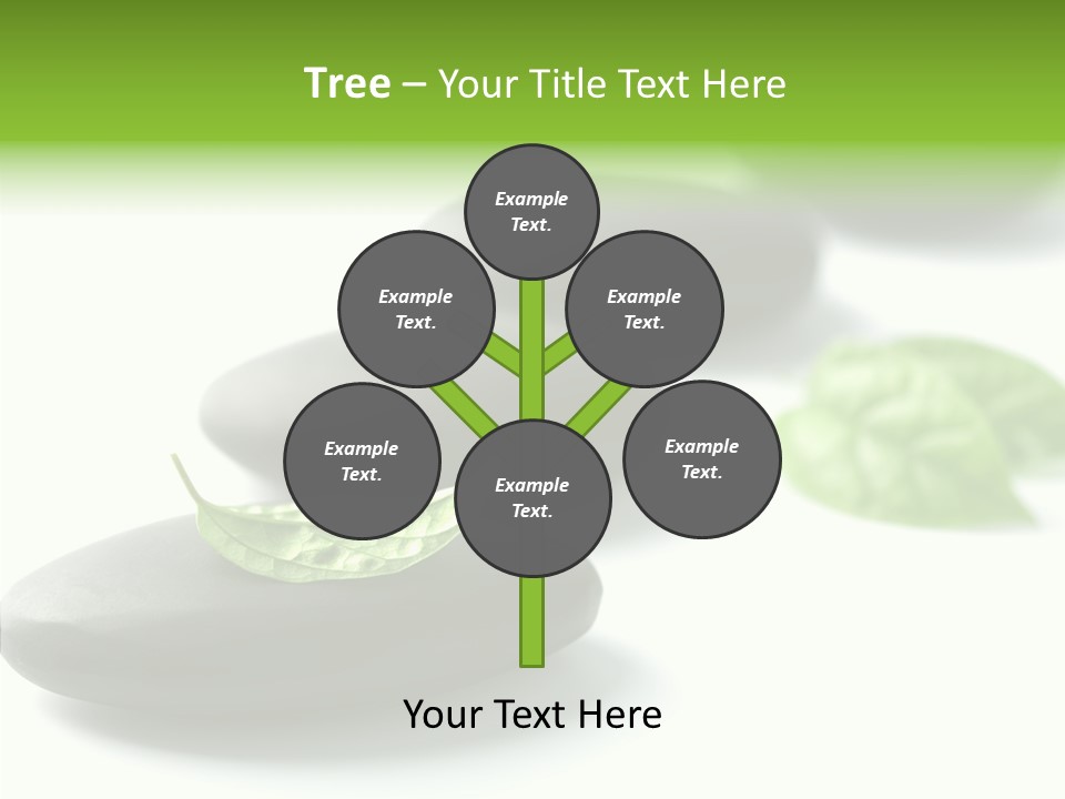 Meditation Beauty Health PowerPoint Template