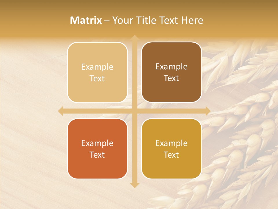 Staple Macro Golden PowerPoint Template