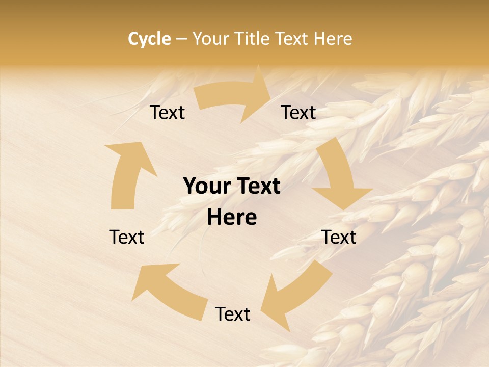 Staple Macro Golden PowerPoint Template