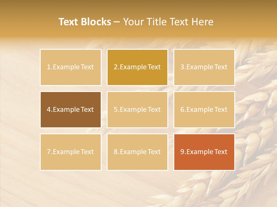 Staple Macro Golden PowerPoint Template