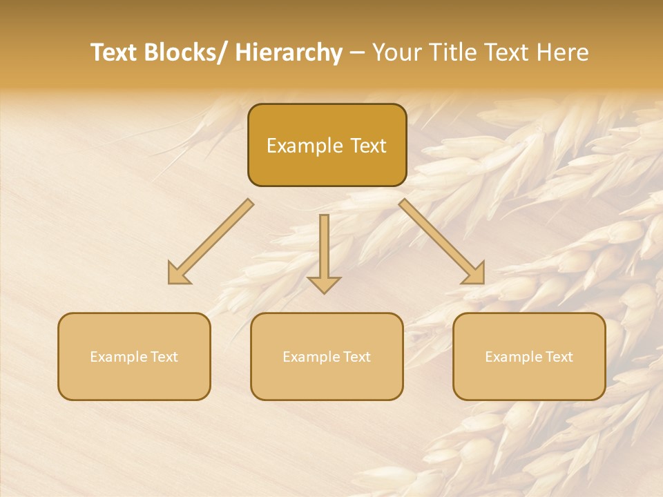 Staple Macro Golden PowerPoint Template