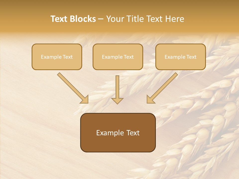 Staple Macro Golden PowerPoint Template