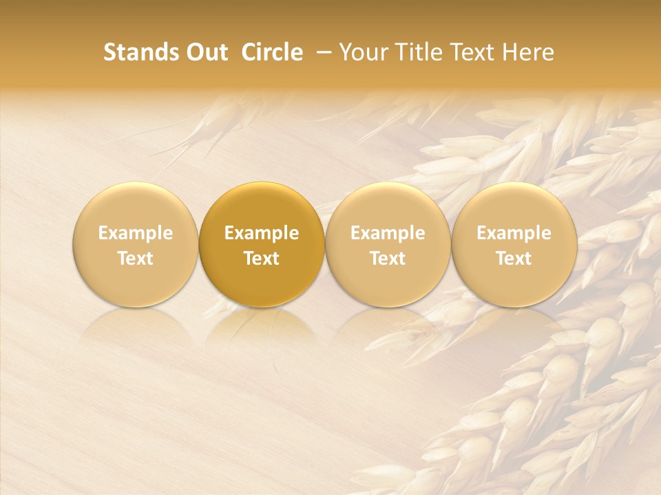 Staple Macro Golden PowerPoint Template