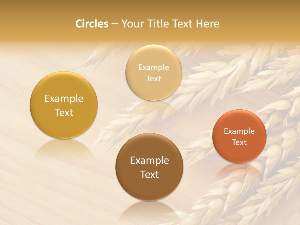 Staple Macro Golden PowerPoint Template