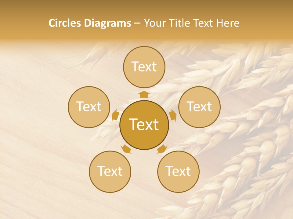 Staple Macro Golden PowerPoint Template