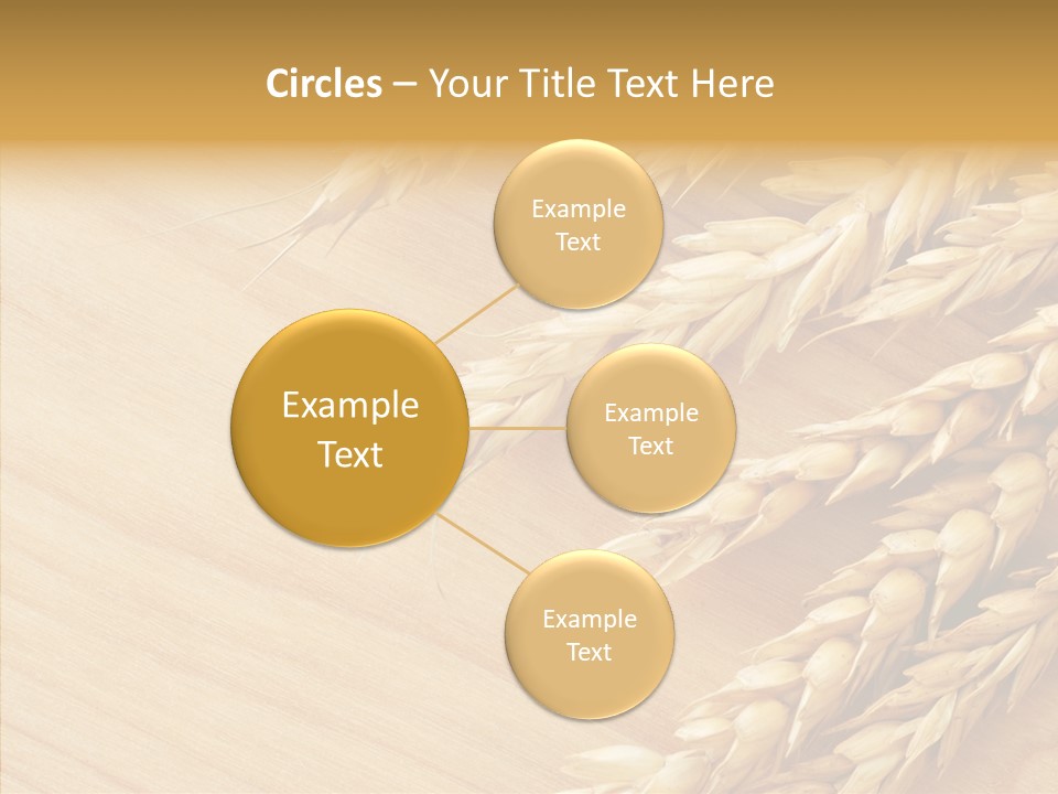 Staple Macro Golden PowerPoint Template