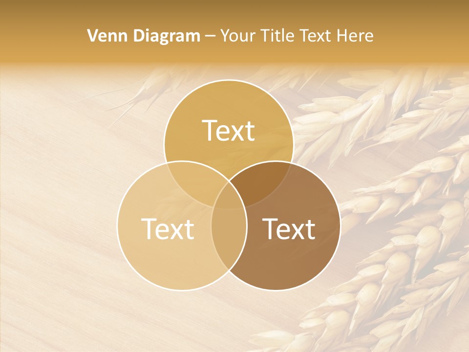 Staple Macro Golden PowerPoint Template