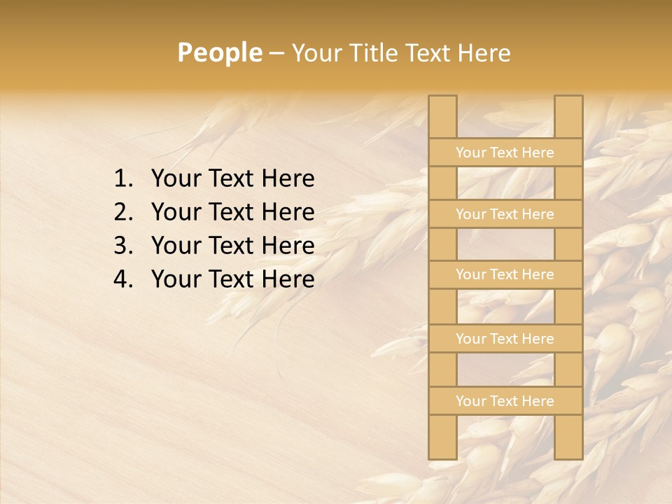 Staple Macro Golden PowerPoint Template