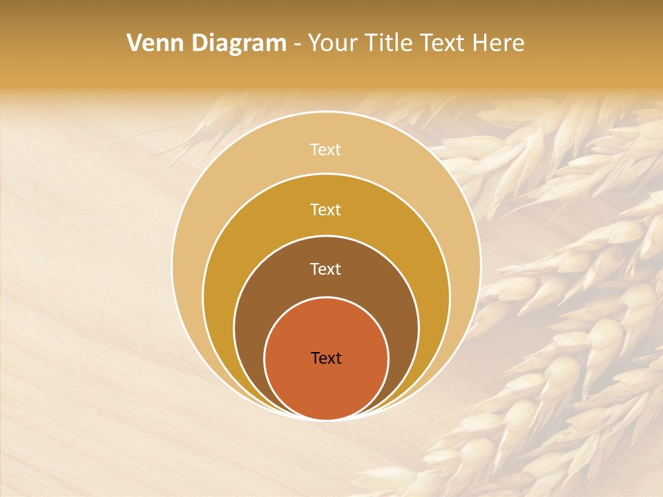 Staple Macro Golden PowerPoint Template
