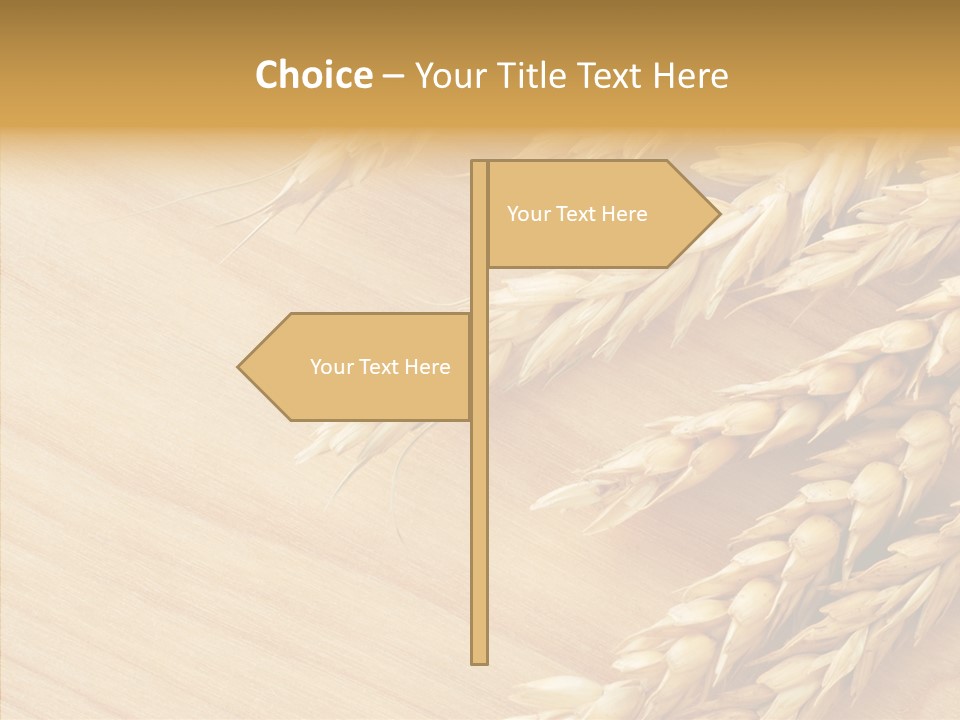 Staple Macro Golden PowerPoint Template