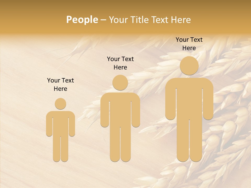 Staple Macro Golden PowerPoint Template