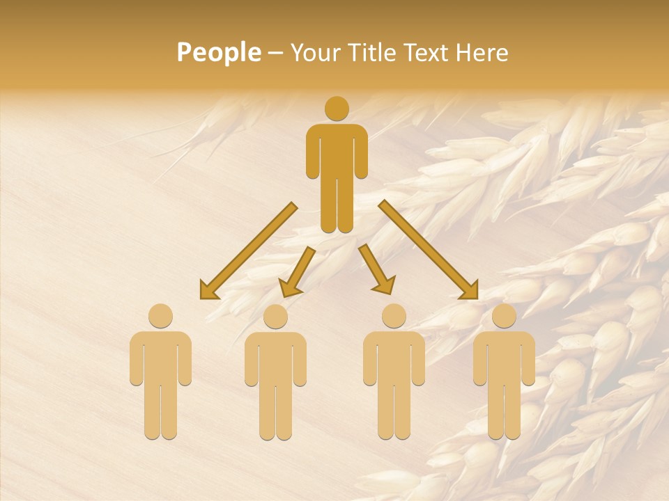 Staple Macro Golden PowerPoint Template