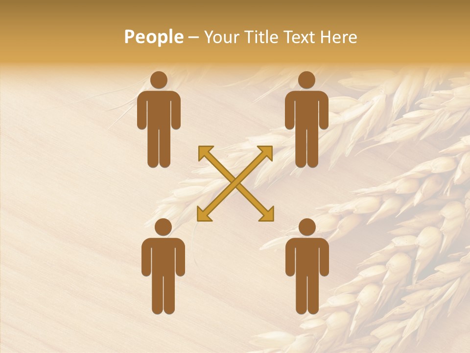 Staple Macro Golden PowerPoint Template