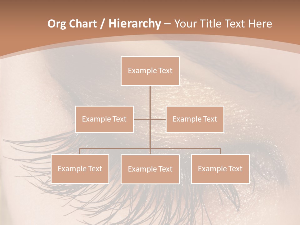 Eyebrow Caucasian Beauty PowerPoint Template