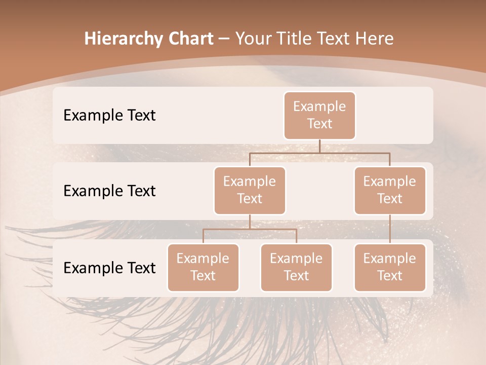 Eyebrow Caucasian Beauty PowerPoint Template