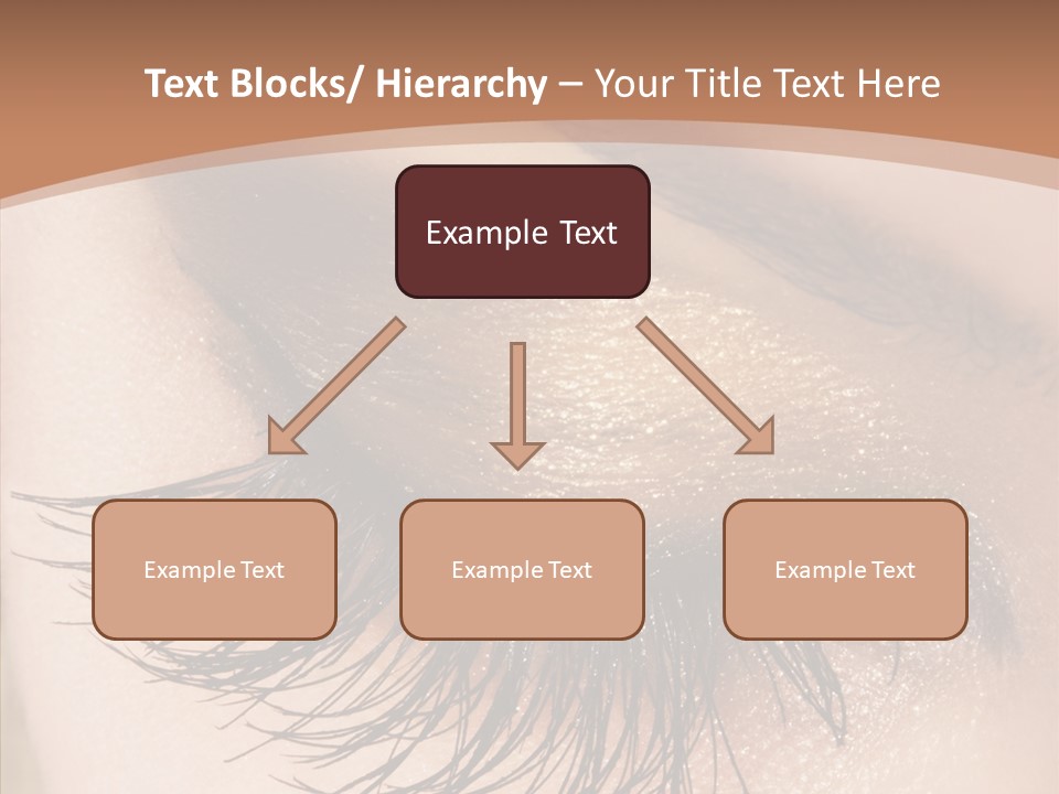 Eyebrow Caucasian Beauty PowerPoint Template