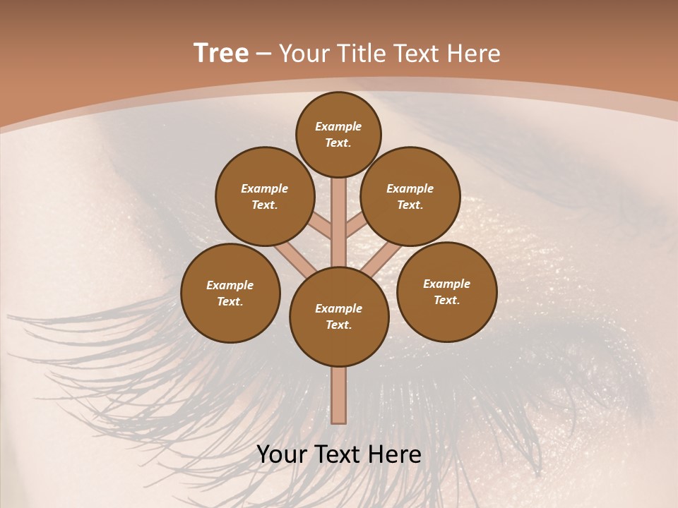 Eyebrow Caucasian Beauty PowerPoint Template