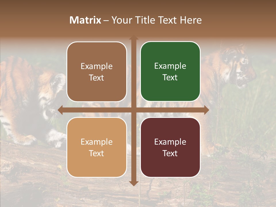 Sportive Asia Siberian PowerPoint Template