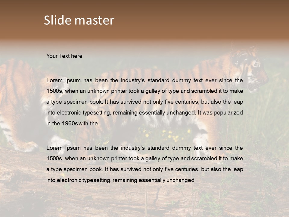 Sportive Asia Siberian PowerPoint Template