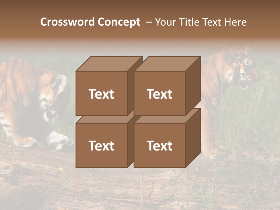 Sportive Asia Siberian PowerPoint Template