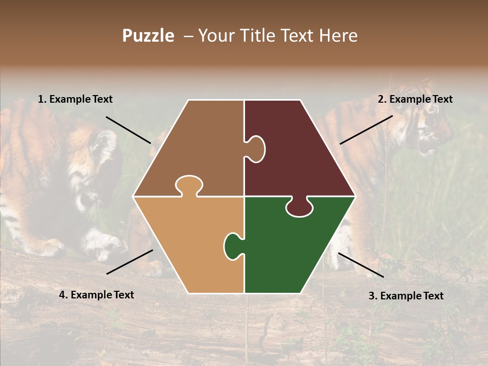 Sportive Asia Siberian PowerPoint Template