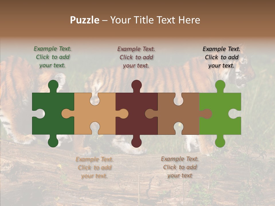 Sportive Asia Siberian PowerPoint Template