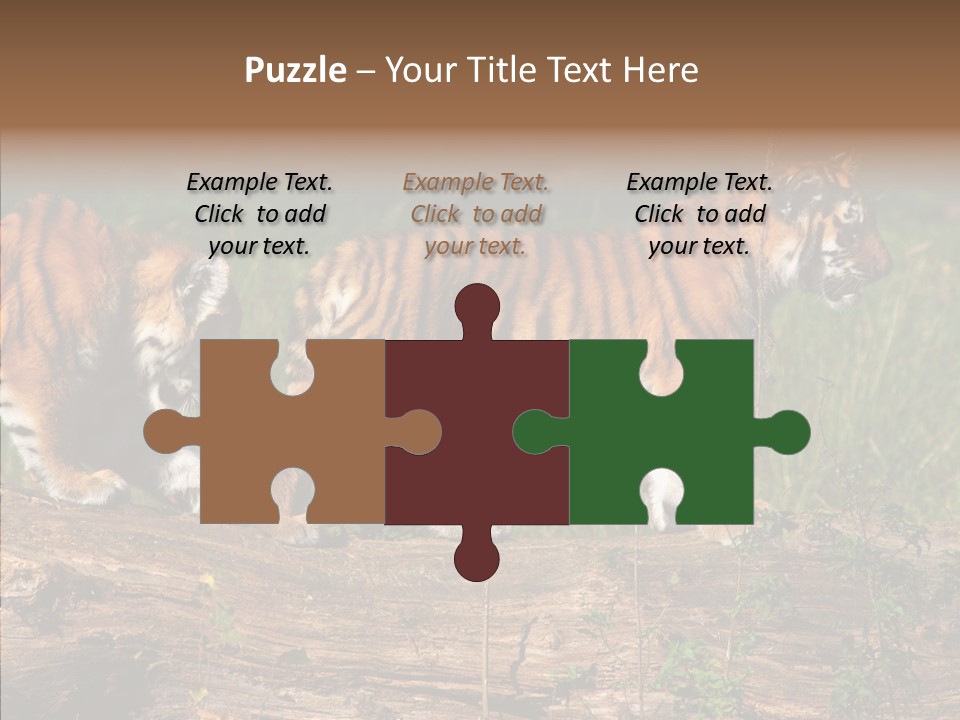 Sportive Asia Siberian PowerPoint Template