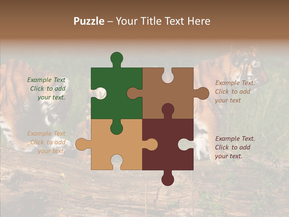 Sportive Asia Siberian PowerPoint Template