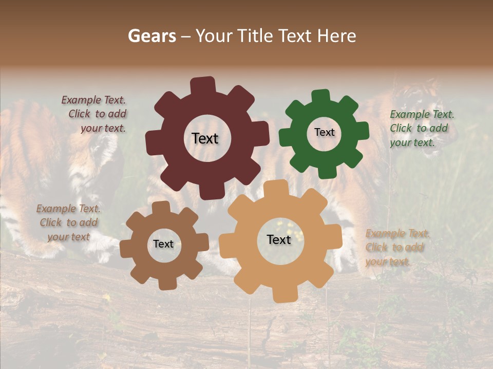 Sportive Asia Siberian PowerPoint Template